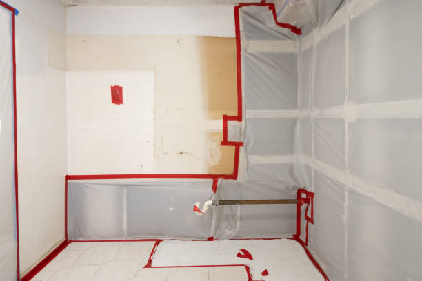 Best Attic Mold Removal  in Tavernier, FL