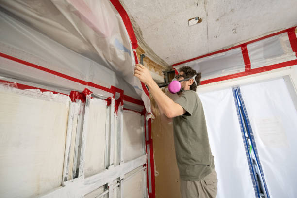 Best Indoor Air Quality Assessment  in Tavernier, FL