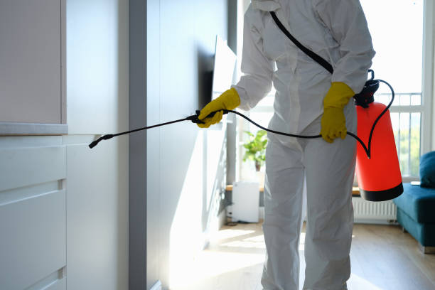 Best Post-Construction Mold Inspection  in Tavernier, FL