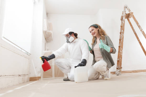 Best Asbestos and Lead Testing During Mold Inspection  in Tavernier, FL